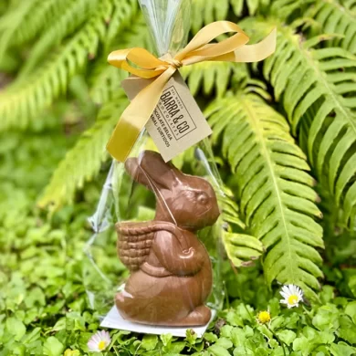 Conejo de Chocolate Belga y Avellana Europea