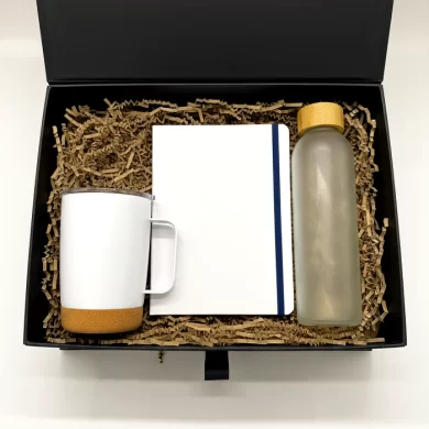 Kit de Bienvenida Bienestar y Productividad